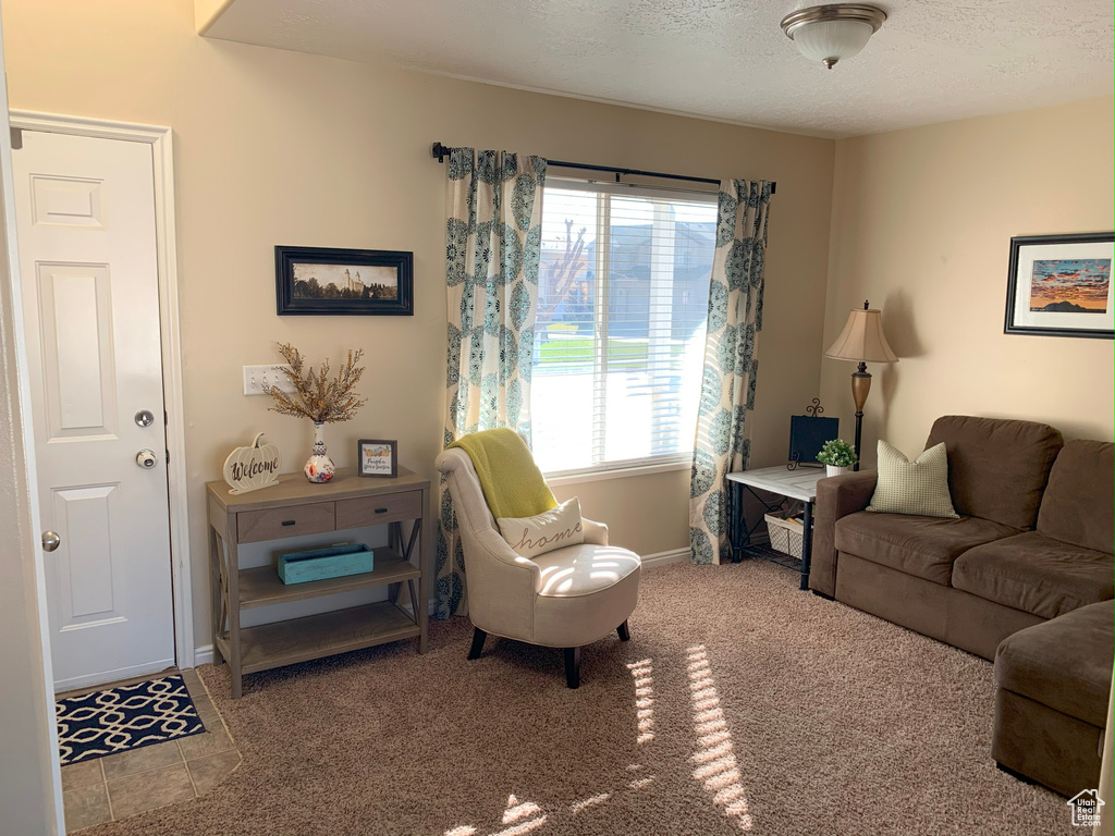 Living room featuring baseboards, carpet flooring, and a textured ceiling