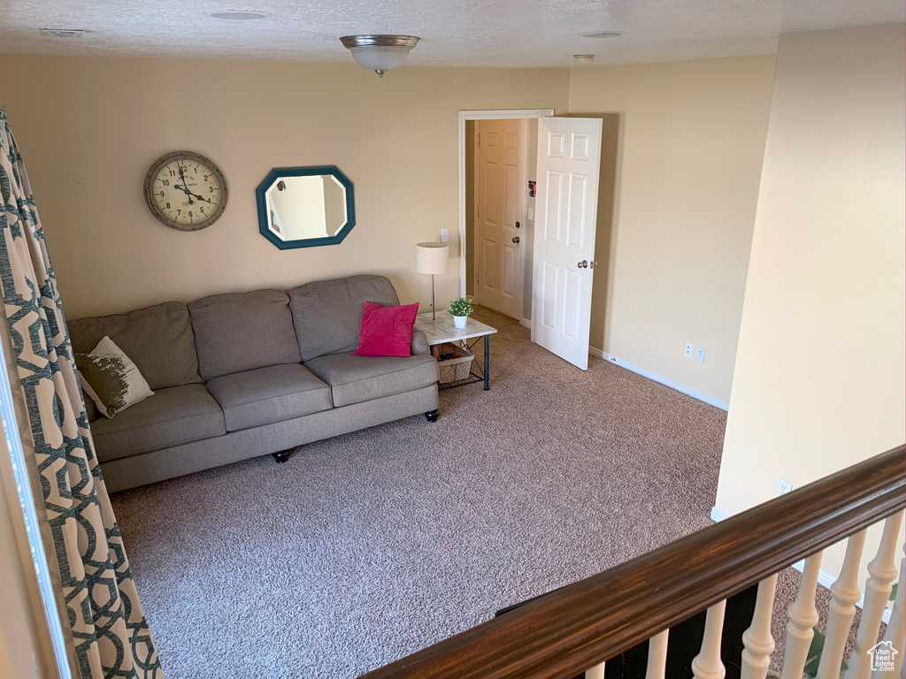 Living area featuring carpet, baseboards, and a textured ceiling
