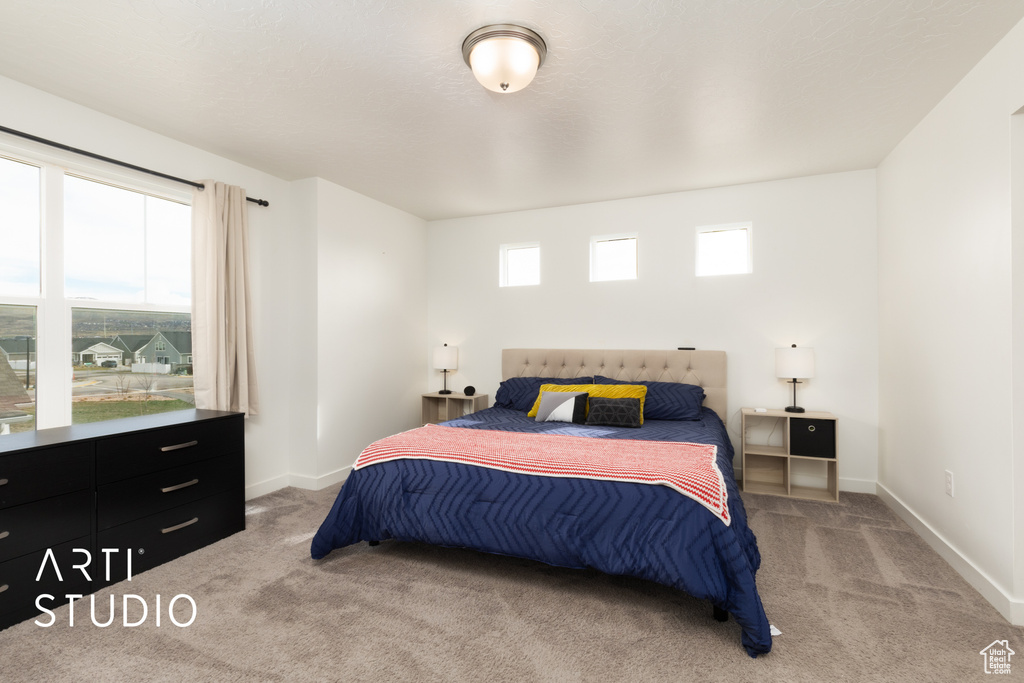 Carpeted bedroom with baseboards and multiple windows