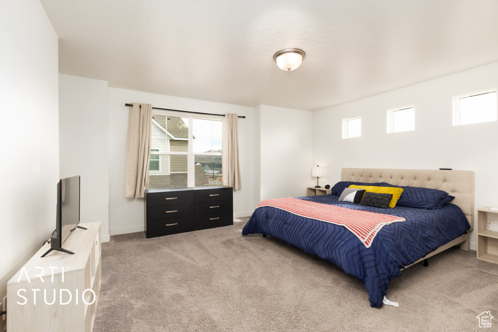 Bedroom featuring multiple windows and light colored carpet