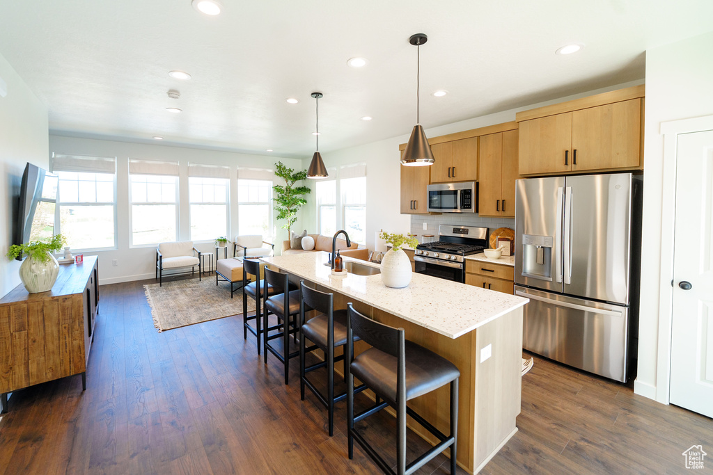 Kitchen featuring a sink, plenty of natural light, appliances with stainless steel finishes, and light brown cabinetry