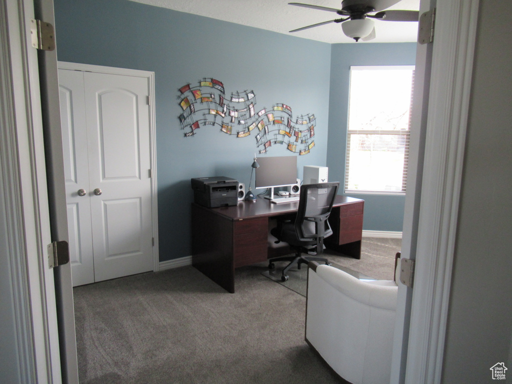 Office space featuring baseboards, ceiling fan, and carpet flooring