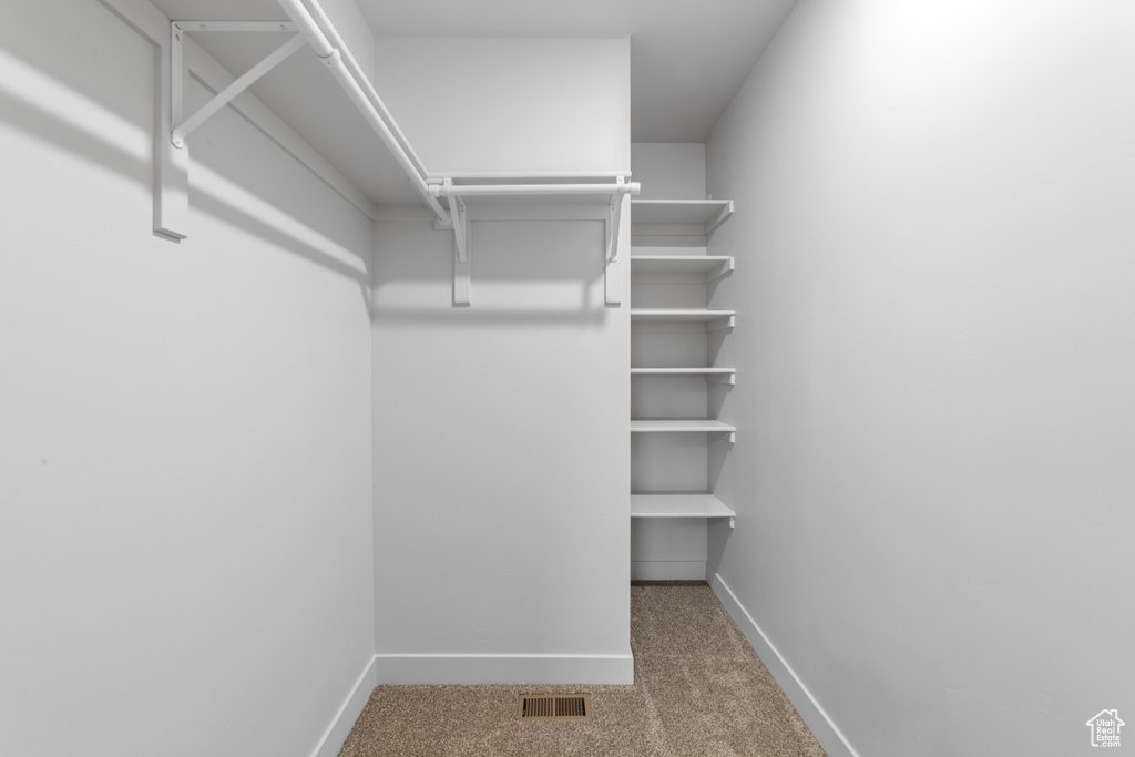 Spacious closet with carpet and visible vents