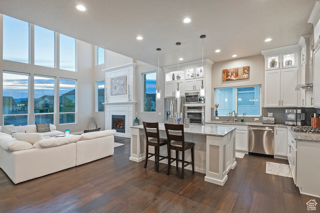 Kitchen with appliances with stainless steel finishes, dark wood-type flooring, a sink, open floor plan, and a glass covered fireplace