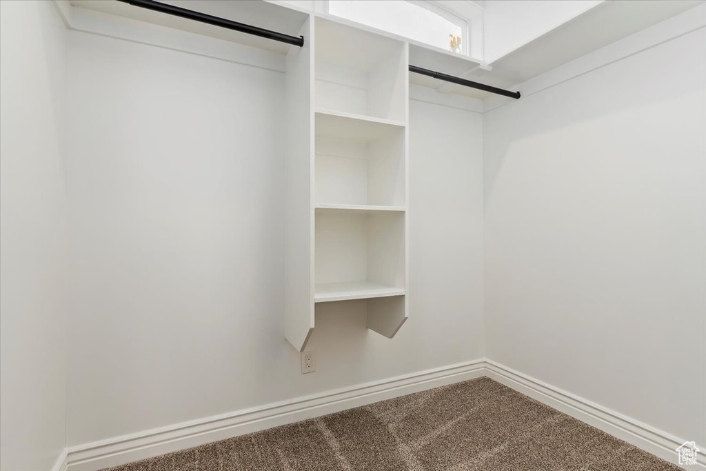 Walk in closet with carpet