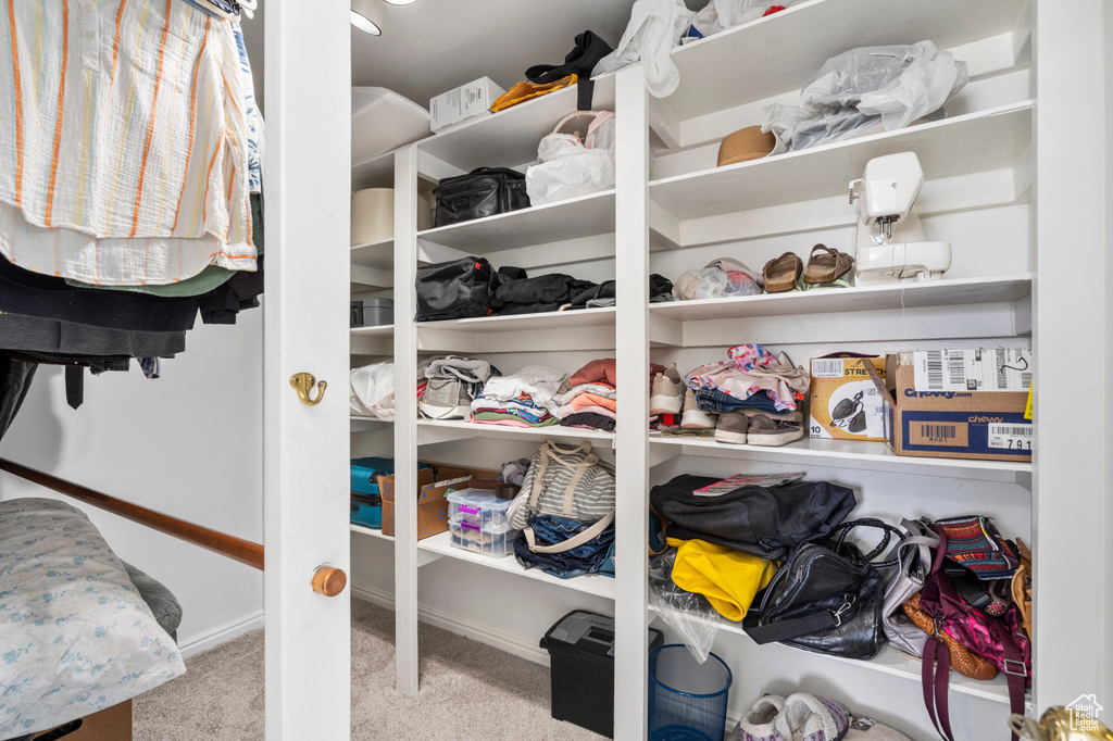 Spacious closet with carpet
