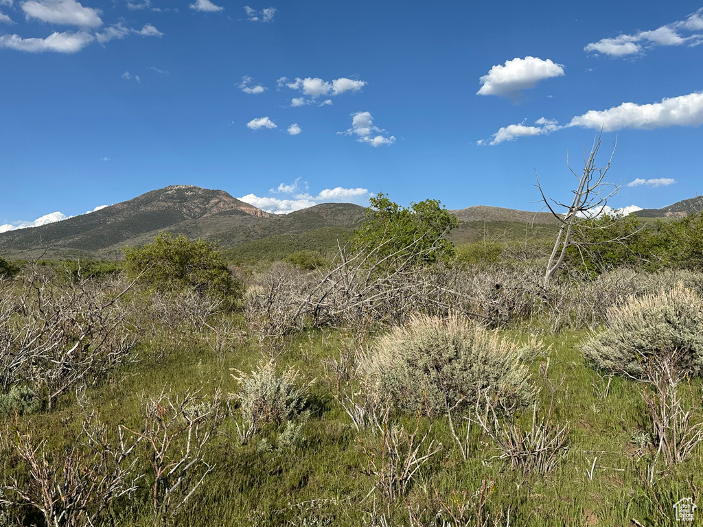 1700 E 200 S Fillmore, UT 84631