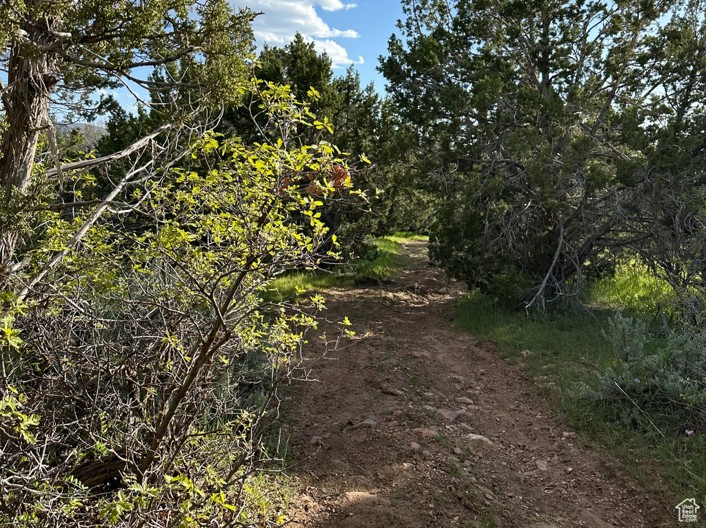 1700 E 200 S Fillmore, UT 84631