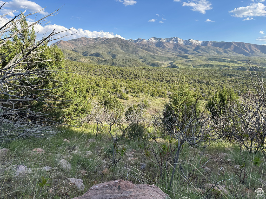 1700 E 200 S Fillmore, UT 84631