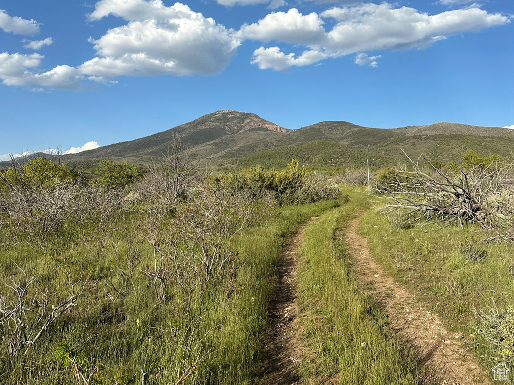 1700 E 200 S Fillmore, UT 84631