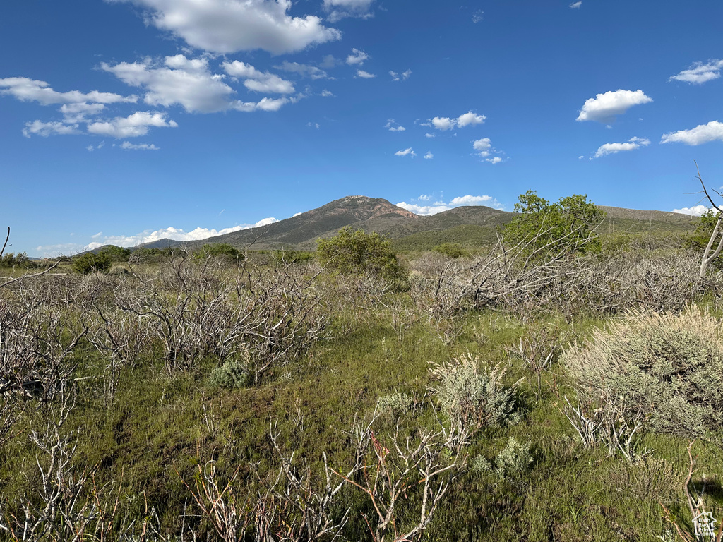 1700 E 200 S Fillmore, UT 84631