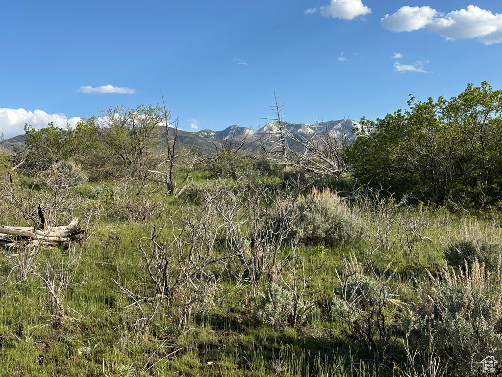 1700 E 200 S Fillmore, UT 84631