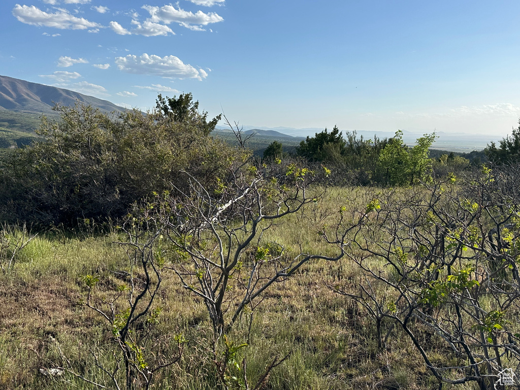 1700 E 200 S Fillmore, UT 84631