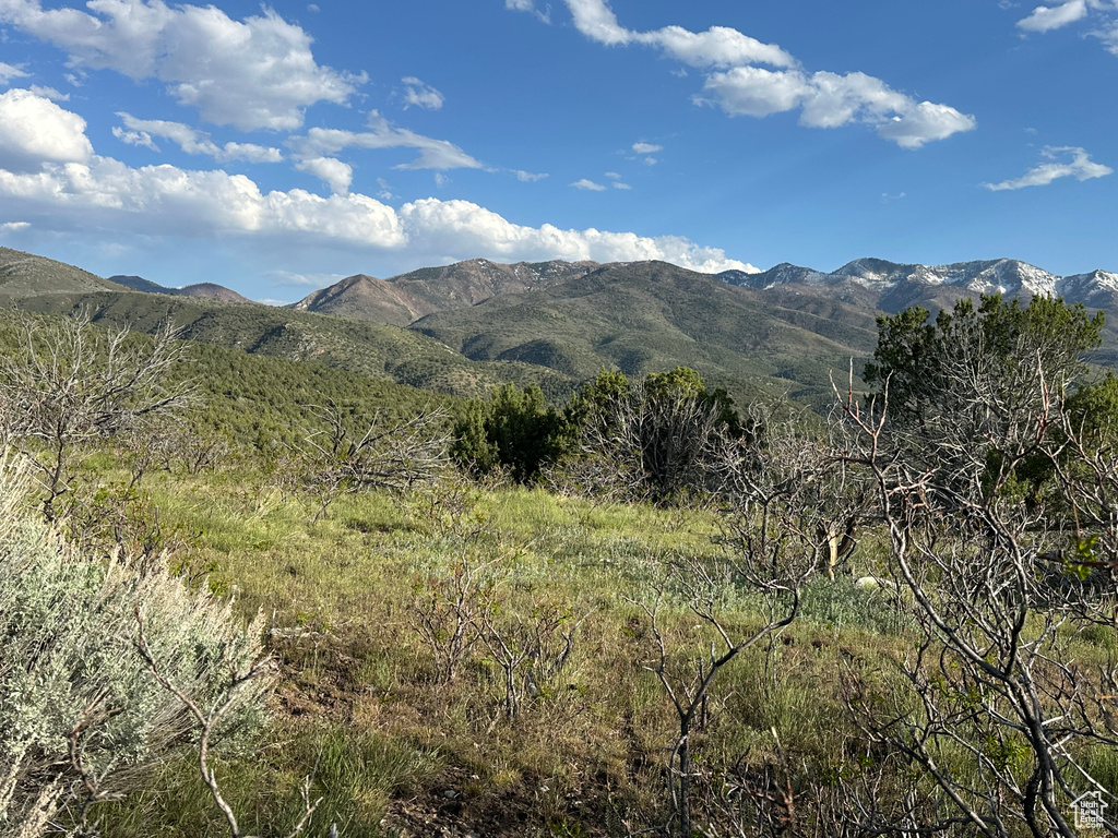 1700 E 200 S Fillmore, UT 84631