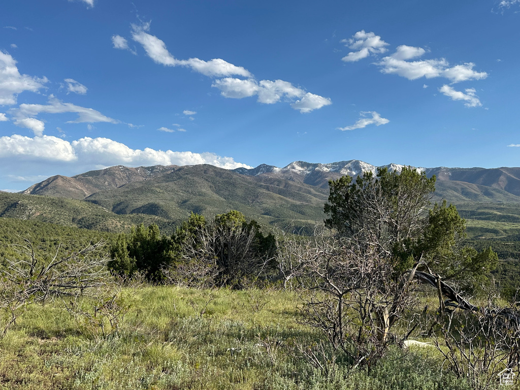 1700 E 200 S Fillmore, UT 84631