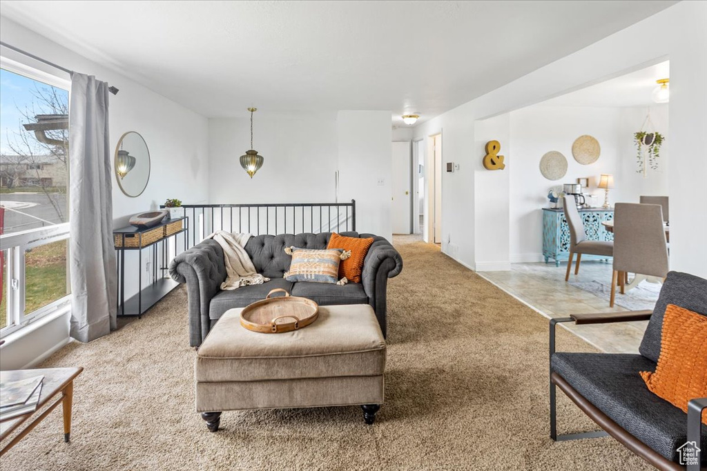 Carpeted living room featuring baseboards and a healthy amount of sunlight