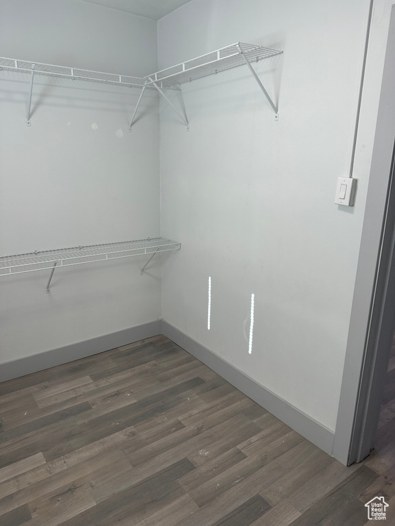 Spacious closet with wood finished floors