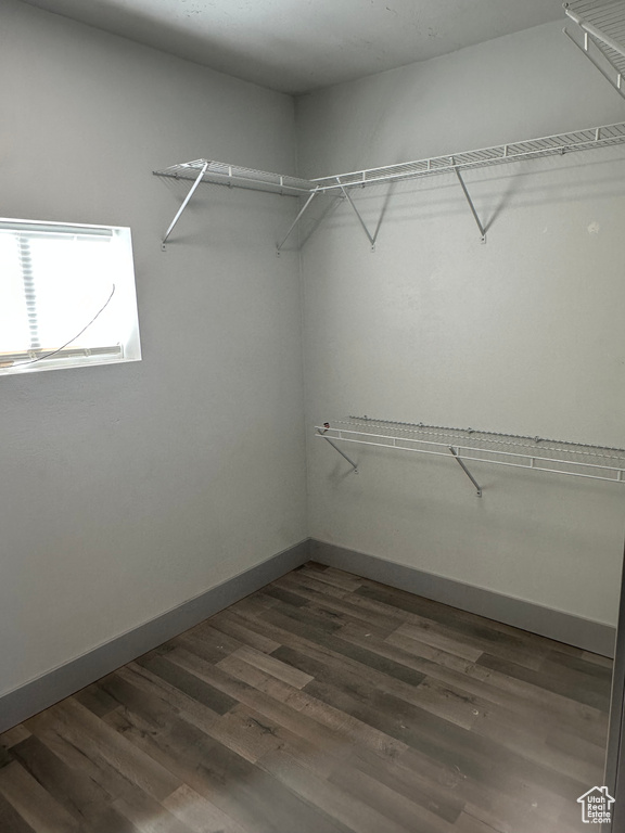 Spacious closet featuring dark wood-style floors