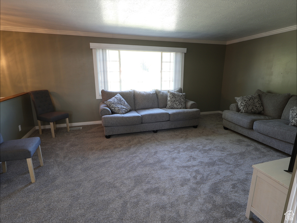 Living room featuring crown molding, carpet floors, and baseboards