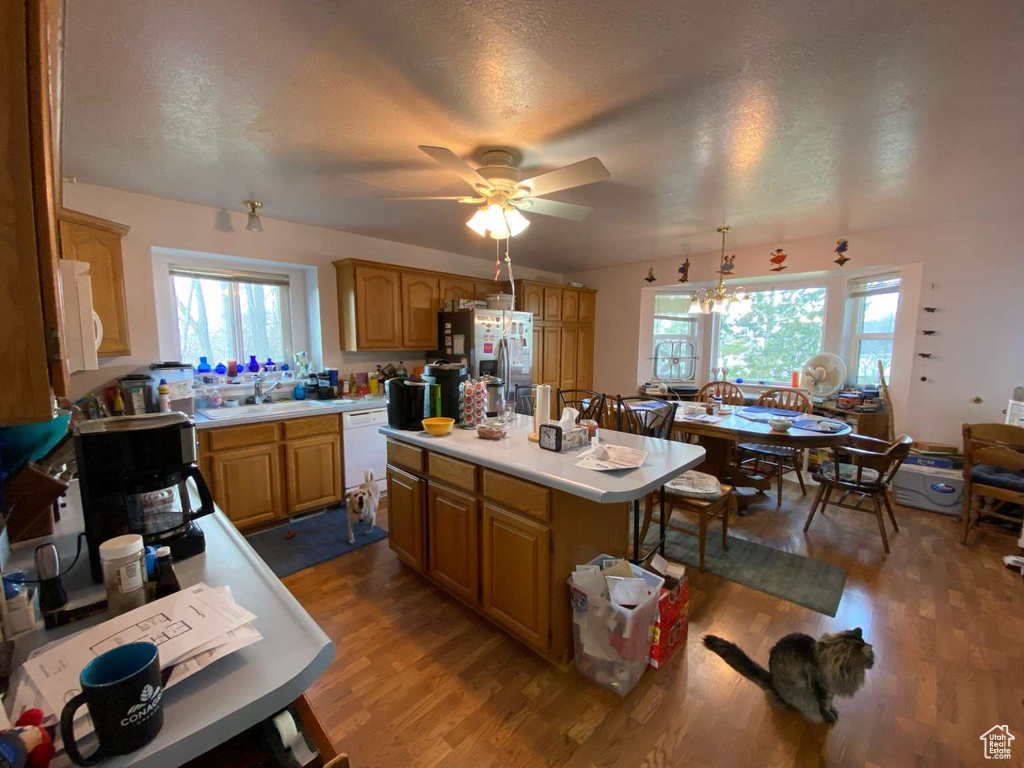 Kitchen with light countertops, dark wood-style flooring, a wealth of natural light, and white appliances