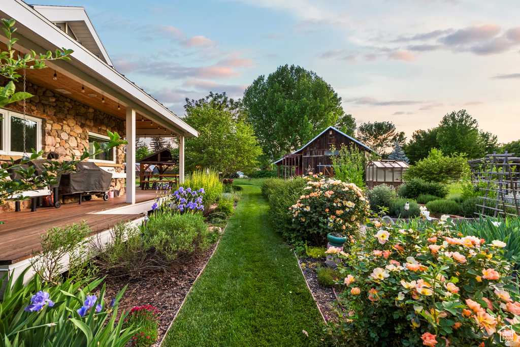Yard at dusk with a wooden deck