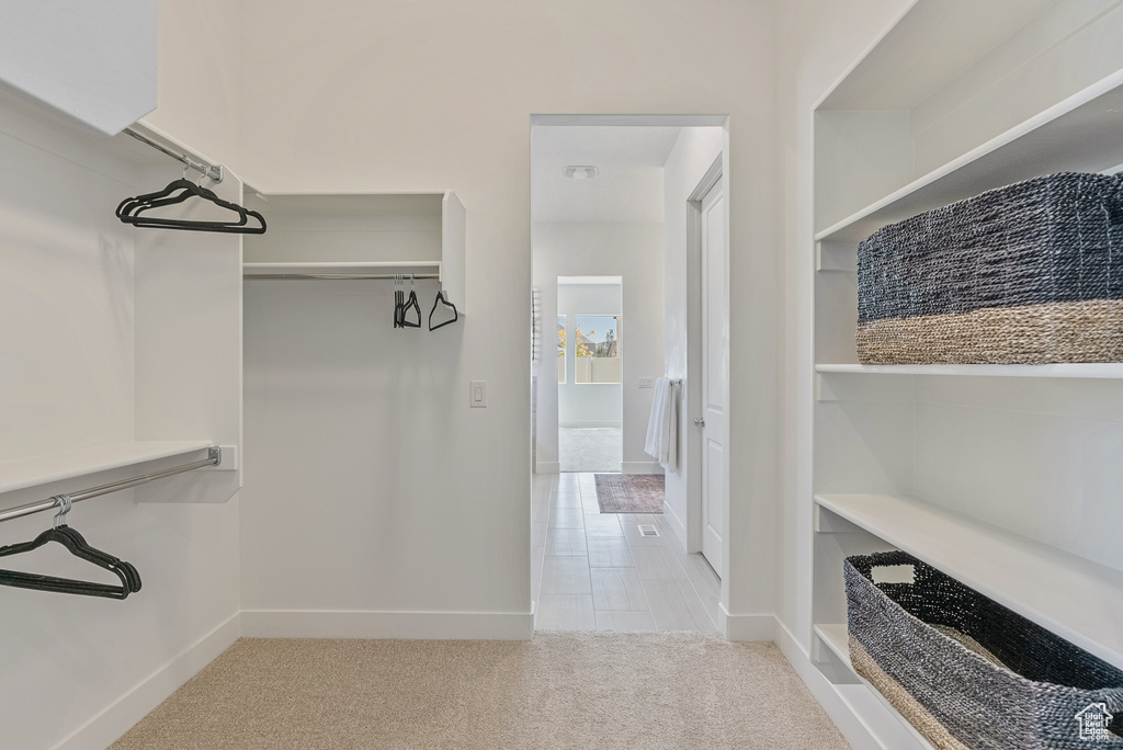 Spacious closet featuring carpet floors