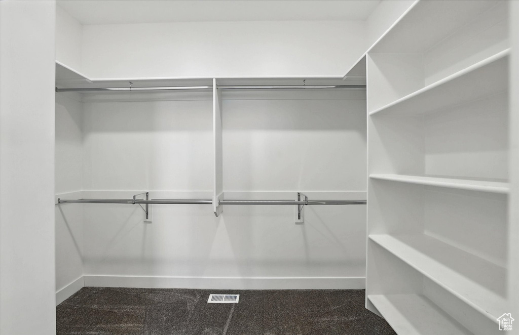 Spacious closet with dark carpet