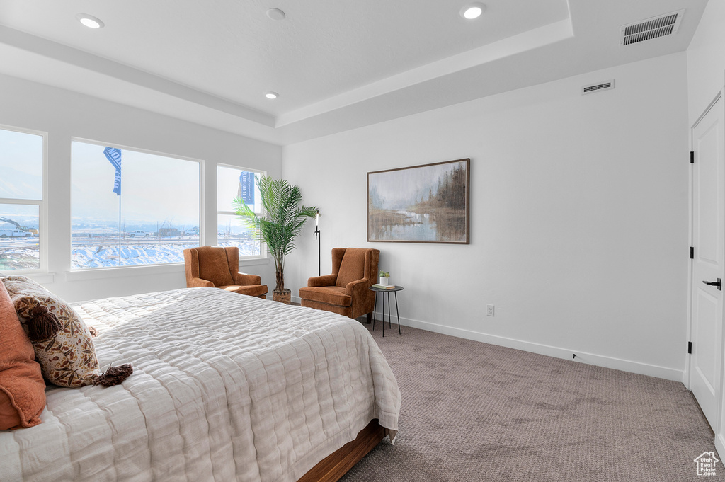 Carpeted bedroom featuring baseboards, visible vents, recessed lighting, and a raised ceiling