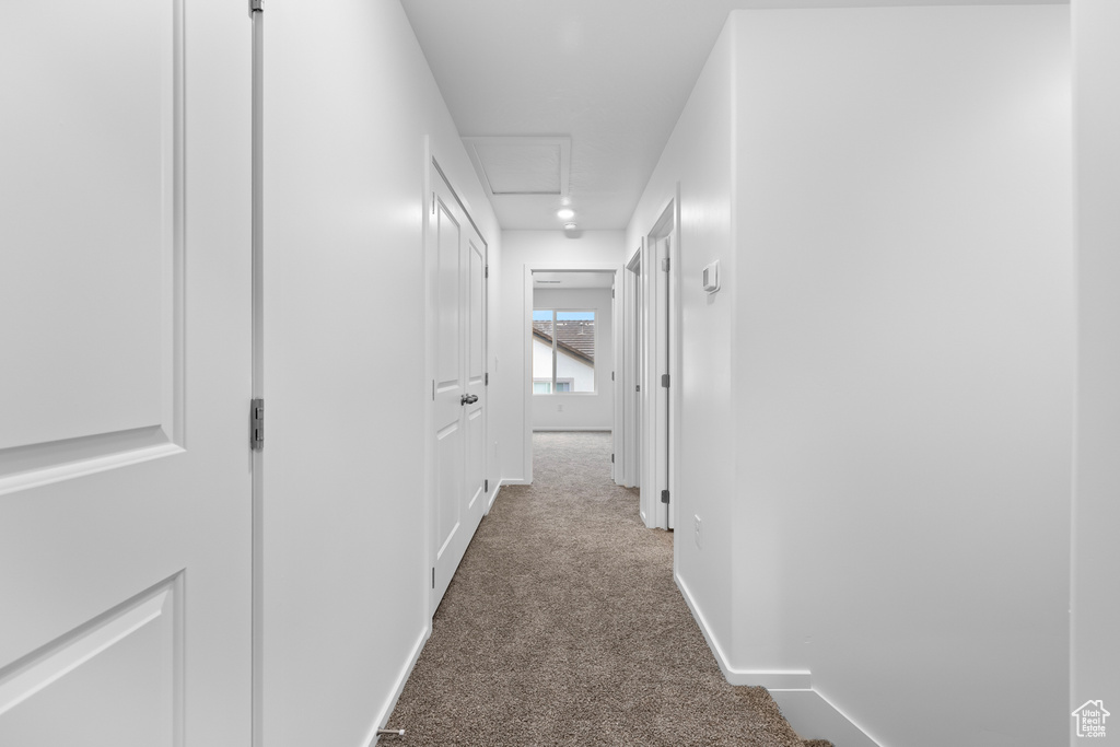 Hall with attic access, baseboards, and carpet floors