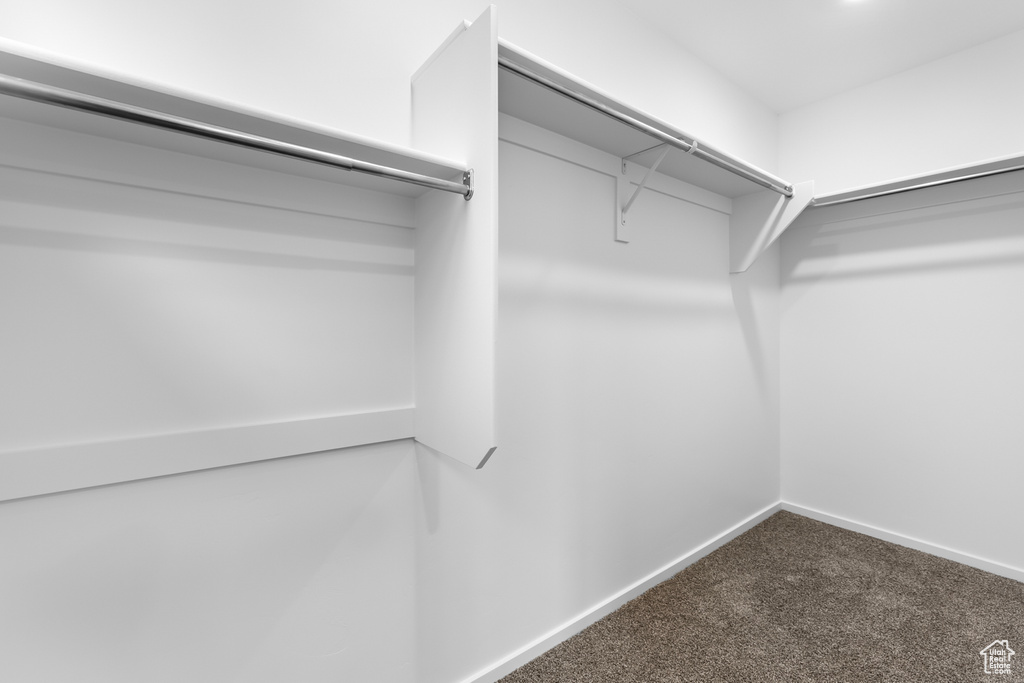 Spacious closet with carpet flooring