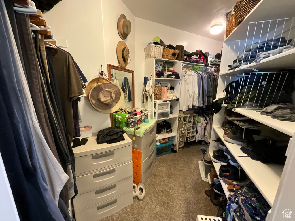 View of walk in closet