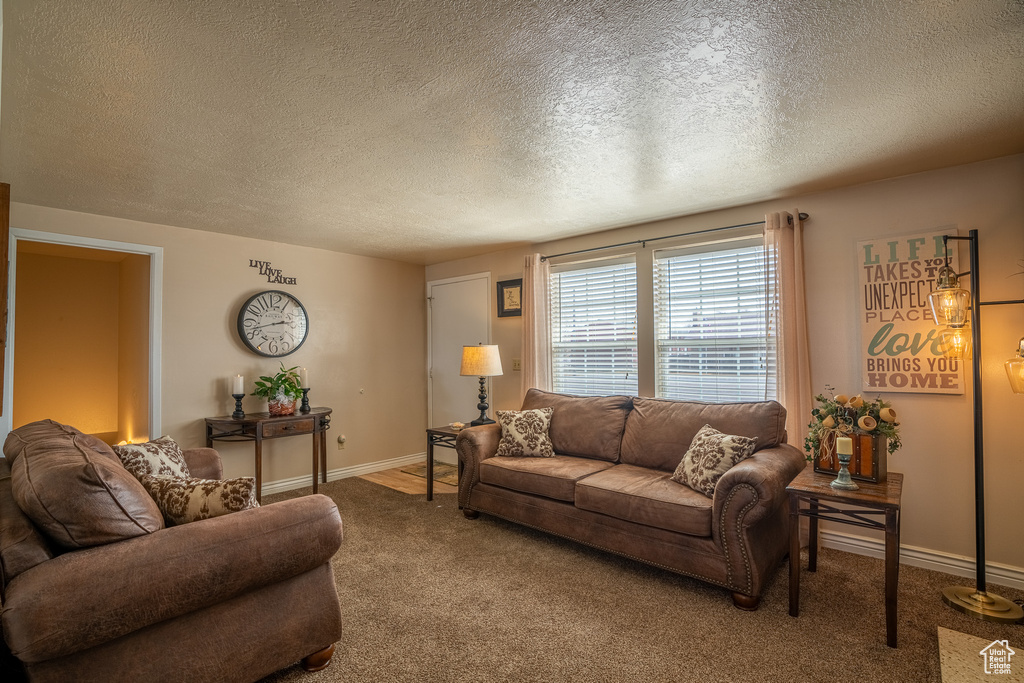 Carpeted living room with baseboards and a textured ceiling