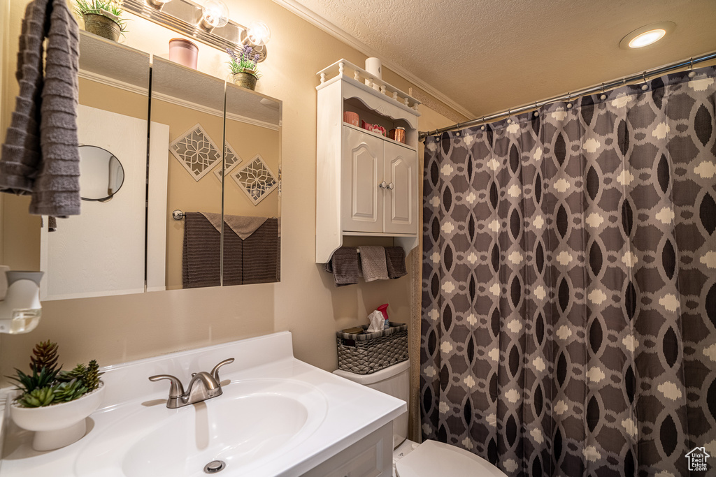 Bathroom featuring a shower with curtain, vanity, toilet, ornamental molding, and a textured ceiling