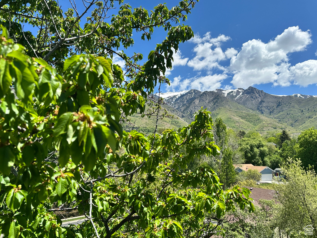 View of mountain background