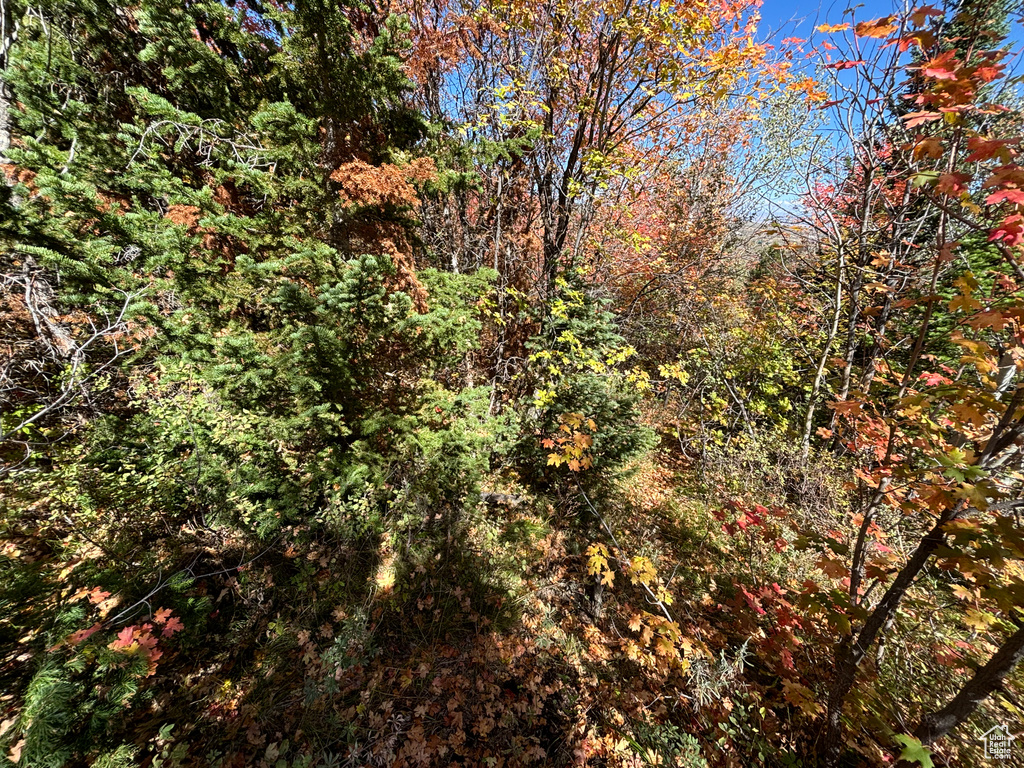 View of landscape featuring a forest view