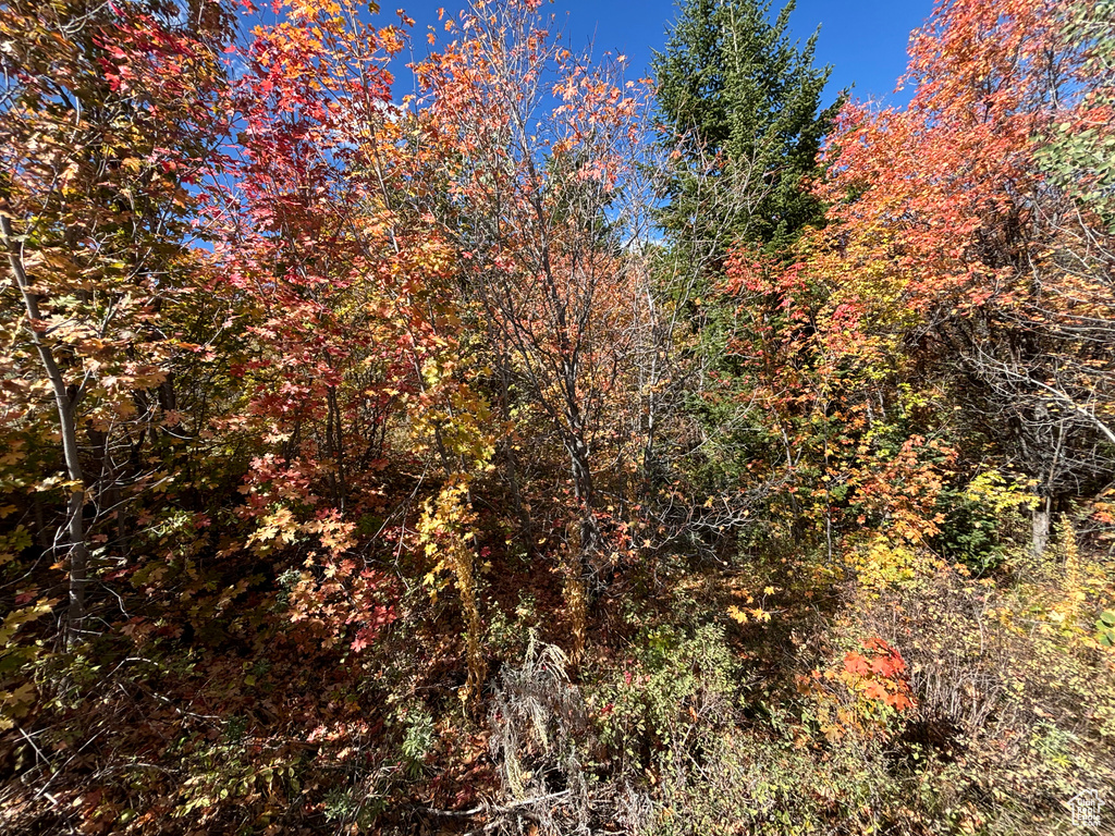 View of landscape featuring a view of trees