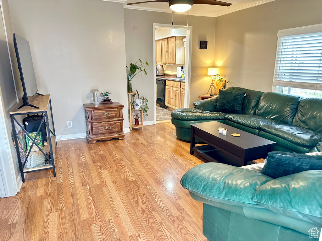Photo 6 for MLS #2075518 at 2170 S Polk Ave