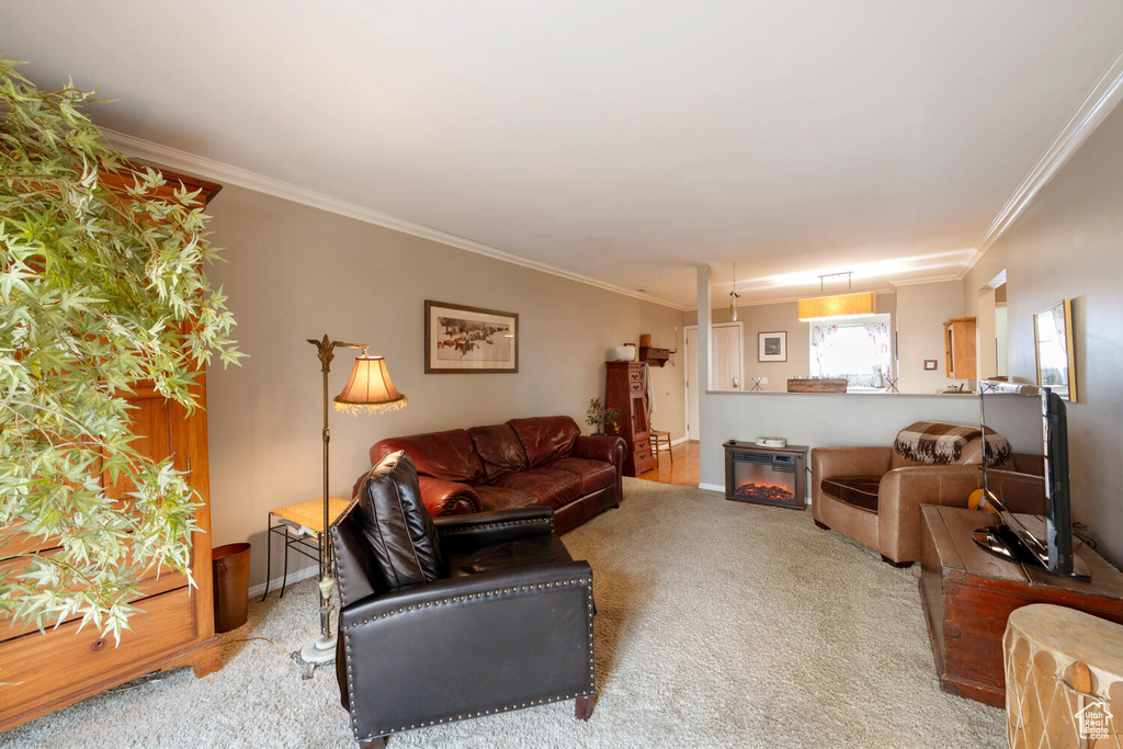 Living room with baseboards, crown molding, carpet floors, and a glass covered fireplace