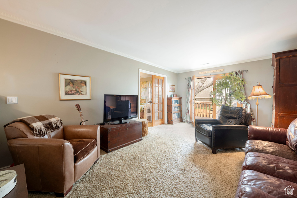 Carpeted living area featuring crown molding