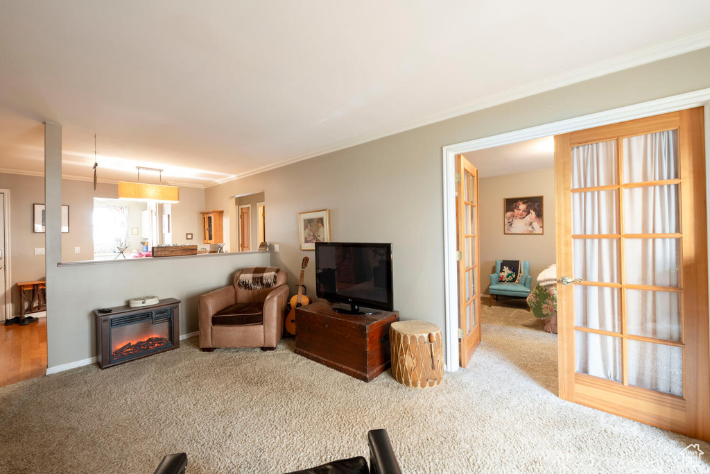 Living room with ornamental molding, carpet, baseboards, and a glass covered fireplace