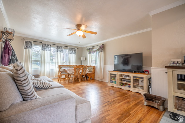 Living room with wainscoting, ceiling fan, ornamental molding, and wood finished floors
