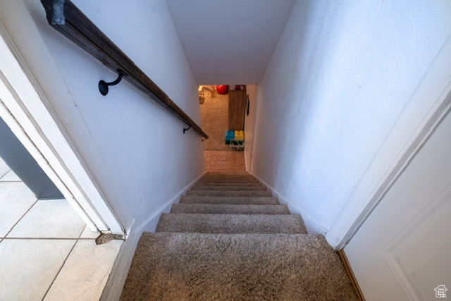 Stairs featuring carpet floors
