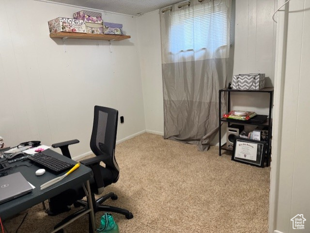 Carpeted home office with baseboards