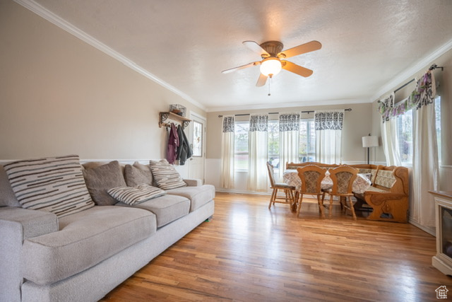Living room featuring crown molding, a ceiling fan, wood finished floors, and a wainscoted wall