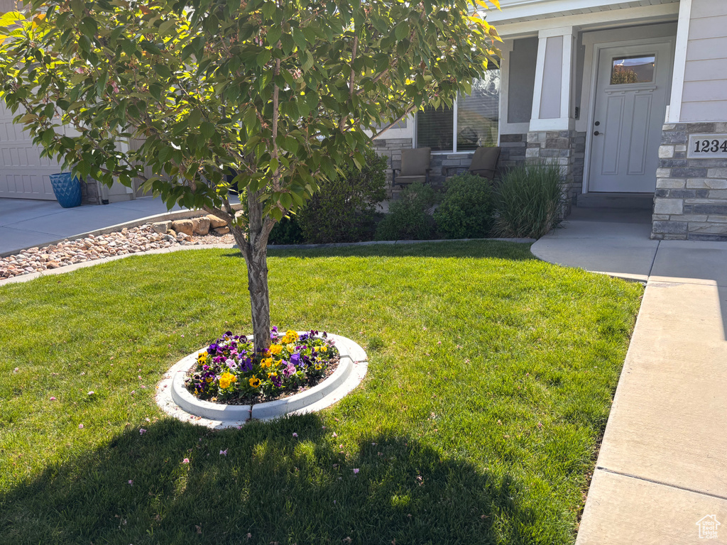 View of green lawn