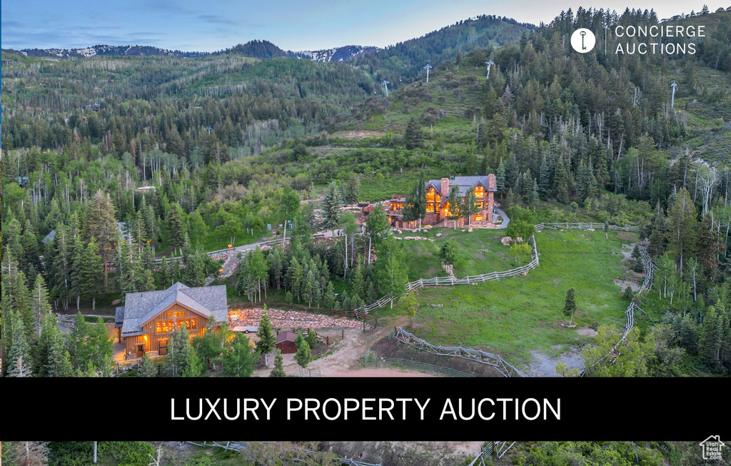 Aerial view of property and surrounding area featuring a heavily wooded area and a mountain backdrop