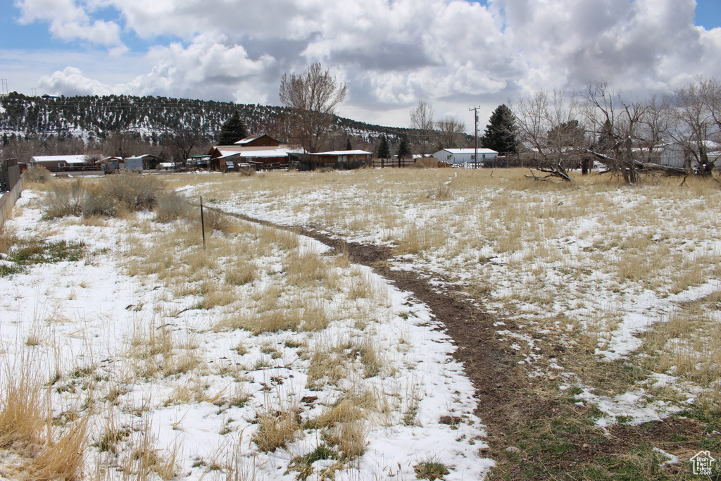 View of snowy yard