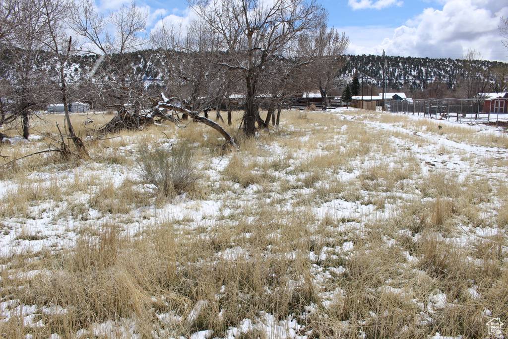 View of snow covered land