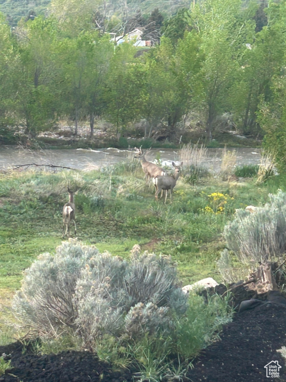 View of nature