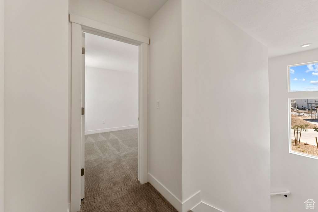 Corridor with carpet floors and baseboards